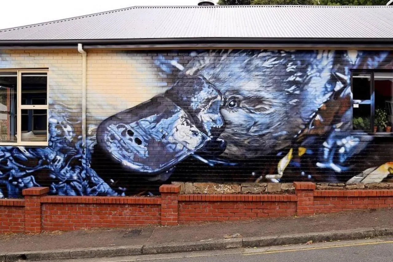 Platypus Cottage Watch Them Play From The Garden Hobart Hébergement de vacances